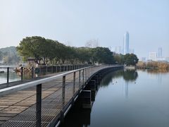 -月湖风景区