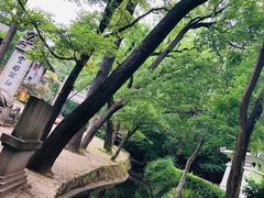 -灵谷景区