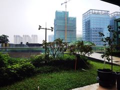-映月湖公园