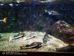 -太平洋海底世界