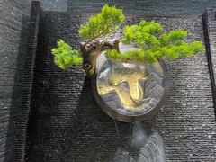 -皓粤臻品荟·地道广东菜
