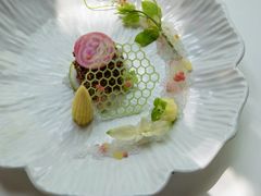 -叶叶菩提(旗舰店)