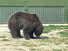 -上海野生动物园