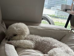 -博特宠物医院24h犬猫全科.骨科·异宠