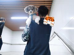 -芭比堂动物医院·24小时·眼科中心(深圳中心)