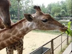 -石家庄市动物园