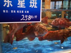 水产区-双井轩(双井店)