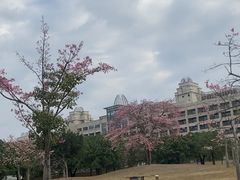 -风云岭森林公园