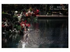 -瑞漫时光婚礼创意设计Remember The Time