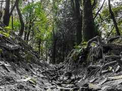 -火炉山森林公园