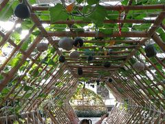 -万源龙顺度假庄园生态观光园