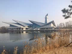 -盐城丹顶鹤湿地生态旅游区