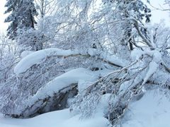 -雪谷