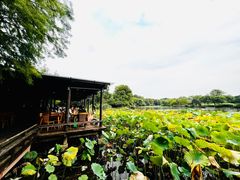 -八卦田遗址公园