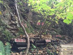 -天女山森林公园