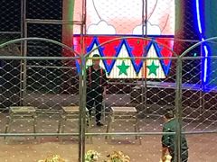 -俄罗斯国家大马戏团