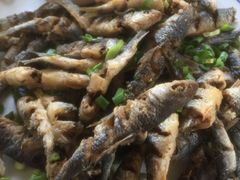 干炸墨线鱼-高坎一品甲鱼庄(两河店)