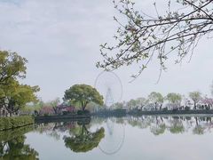 -无锡蠡湖国家湿地公园-蠡园