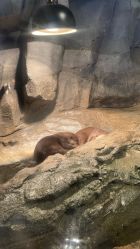 点击看大图 -Zoolung Zoolung动物主题公园(海信广场店)