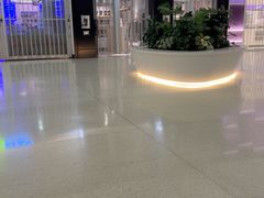 -约翰·菲茨杰拉德·肯尼迪国际机场