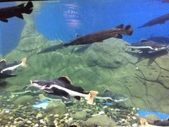 -梦幻海洋王国(吾悦广场张家港店)