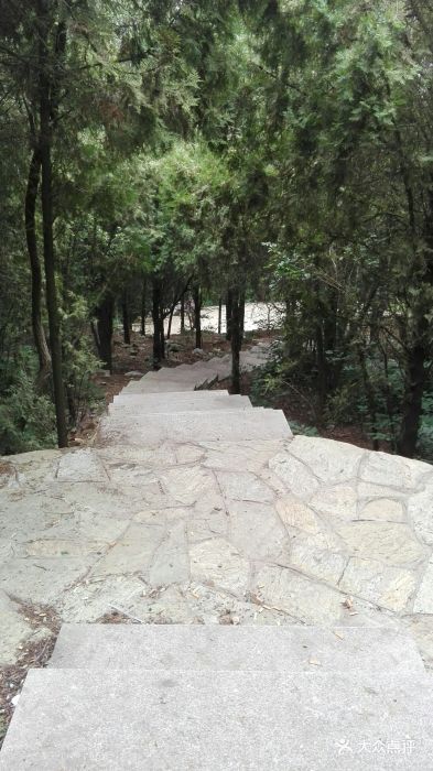 水池山公园-图片-大连周边游-大众点评网