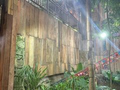 -西双版纳原始森林公园