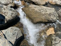 -白河湾生态旅游一条川