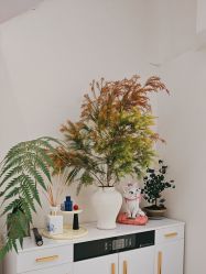 -WENDY·温迪皮肤管理