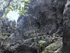 -陶祖圣境风景区