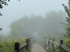 -妙峰山风景名胜区
