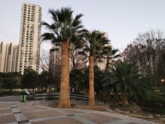 -苏州河梦清园环保主题公园