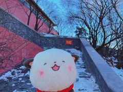 -妙峰山风景名胜区