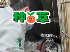 -瑞派雷欧宠物医院·24h夜诊·心脏骨科牙科·全科重症转诊中心(无影山店)