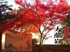 -大慈岩风景区