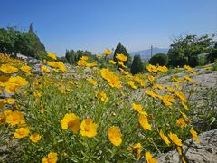 -原山国家森林公园