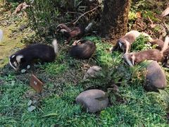 -陕西自然博物馆