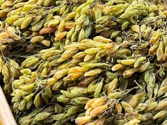 -新疆国际大巴扎