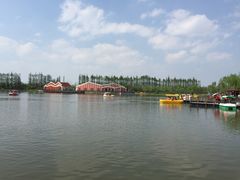 -上海长兴岛郊野公园