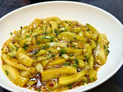 -丁老爷子苏香圆