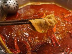 -蜀九香火锅(九眼桥店)