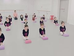 -西安小天鹅艺术团(金花路校区)