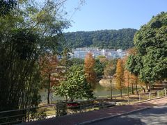 -大埔公路-马料水段香港中文大学(公交站)