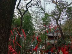 -灵岩山风景区