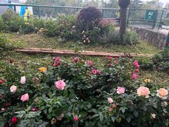 -观澜湖生态运动公社