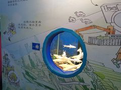 -沙沙哗啦海洋馆(华宇百花谷店)