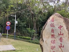 -田心森林公园