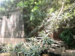 -静安公园(静安寺街道)