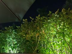 -百味馆·粤菜·湛江菜(后海花园店)