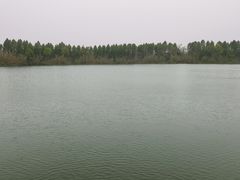 -南湖湿地公园